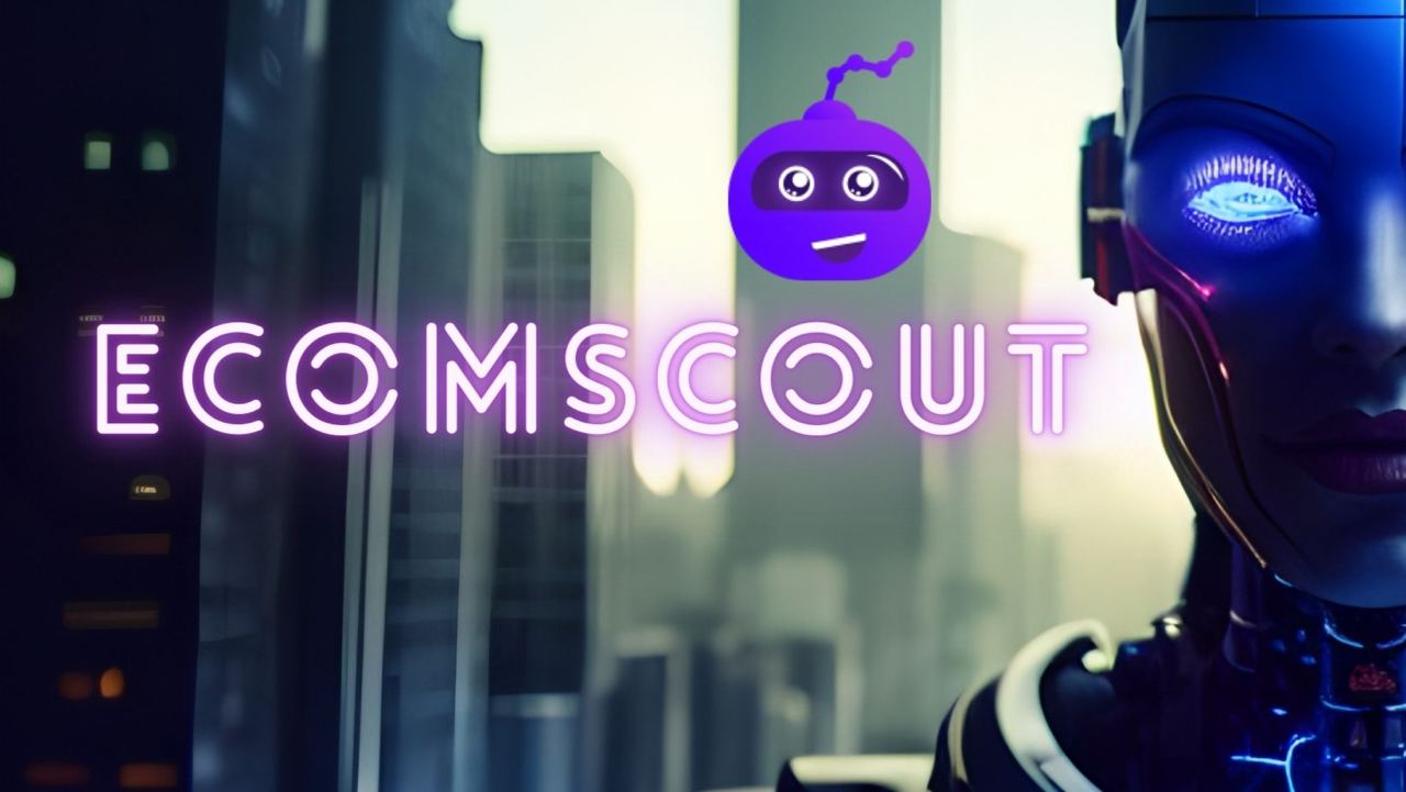 Why EcomScout is the Best Solution for Anybody Who Owns a Shopify Store